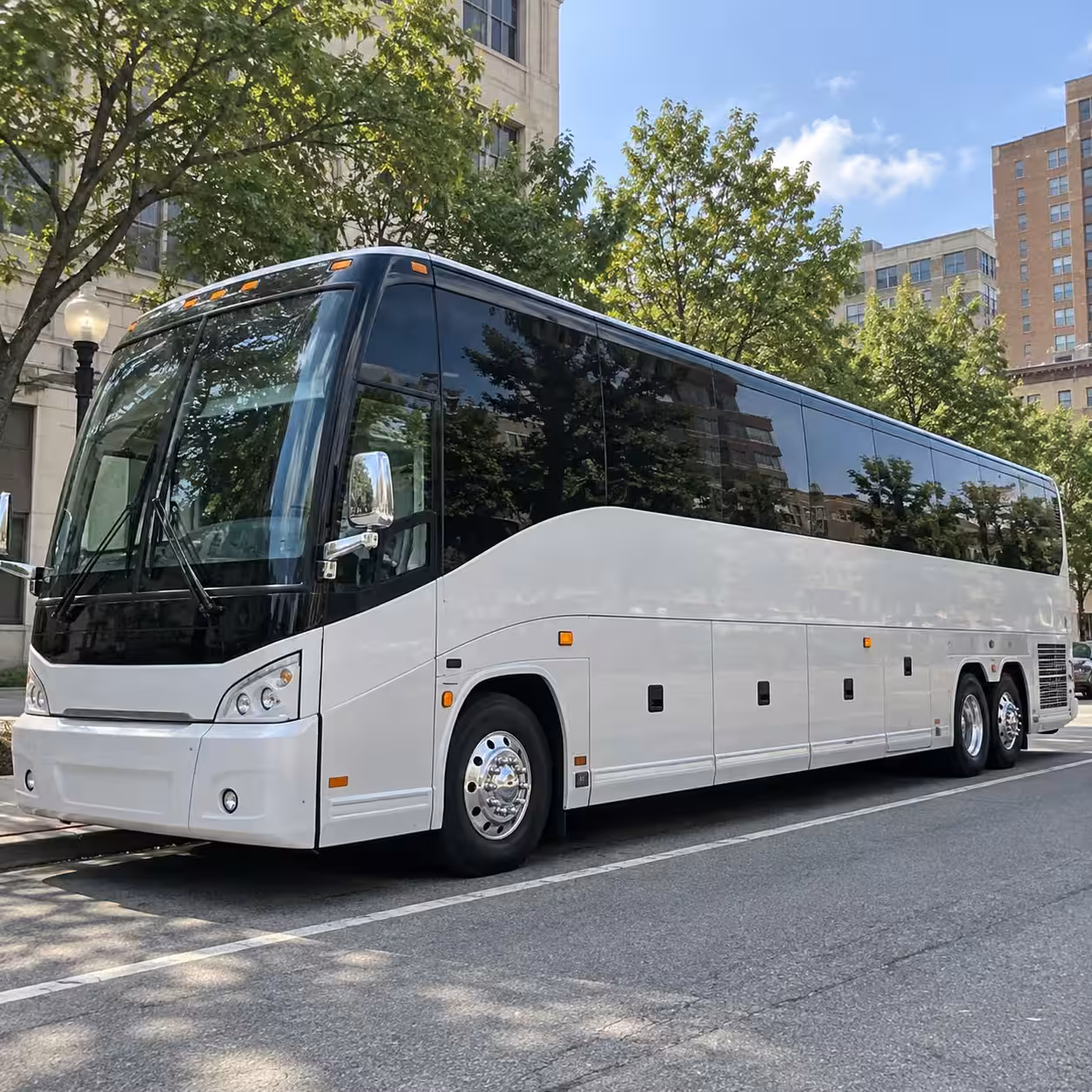 north port wedding bus rentals for any guest count